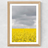 Grey and Yellow Fields Wide Oak Frame