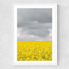Grey and Yellow Fields Medium White Frame