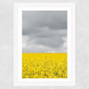 Grey and Yellow Fields Wide White Frame