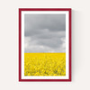 Grey and Yellow Fields