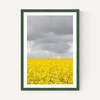 Grey and Yellow Fields