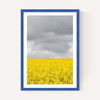 Grey and Yellow Fields