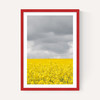 Grey and Yellow Fields