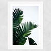 Palm Leaves Wide White Frame