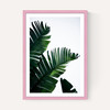 Palm Leaves
