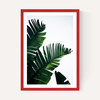 Palm Leaves
