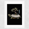 The Legendary Kame Wide White Frame