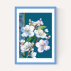 Blossoms (White)
