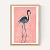 Black Flamingo