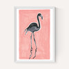 Black Flamingo