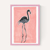 Black Flamingo