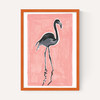 Black Flamingo