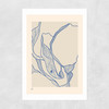 Oyster Study Unframed Print