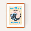Aquarius - The Free Spirit