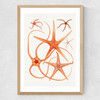 Vintage Starfish 2 Medium Oak Frame