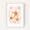 Vintage Starfish 2