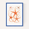 Vintage Starfish 2