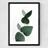 Eucalyptus 4 Medium Black Frame