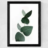 Eucalyptus 4 Wide Black Frame