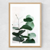 Eucalyptus 5 Medium Oak Frame