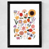 Flower Chart White Wide Black Frame