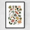 Leaf Chart Narrow Black Frame