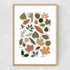 Leaf Chart Narrow Oak Frame