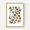 Leaf Chart