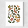 Leaf Chart Medium White Frame