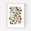Leaf Chart