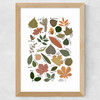 Leaf Chart Wide Oak Frame