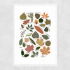 Leaf Chart Narrow White Frame
