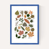 Leaf Chart