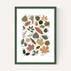 Leaf Chart