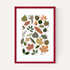 Leaf Chart