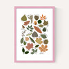 Leaf Chart