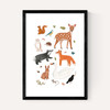 Woodland animals