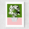 Plant Life