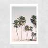 Island Dreams