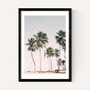 Island Dreams