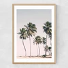 Island Dreams