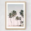 Island Dreams