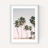 Island Dreams