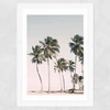 Island Dreams