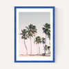 Island Dreams