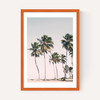 Island Dreams