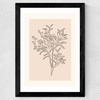 Soft Leaves II