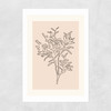 Soft Leaves II