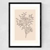 Soft Leaves II