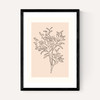 Soft Leaves II